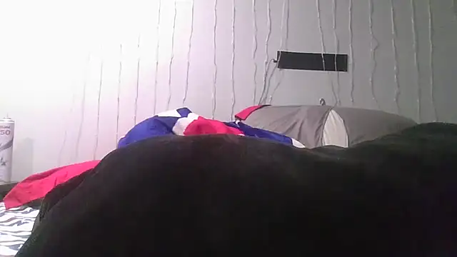 deepinnnnn webcam