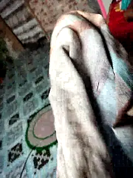 mdNajmus69 live cam on StripChat