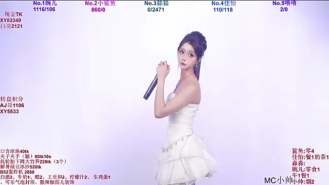 STY_0089 webcam