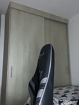 Cat2525 webcam