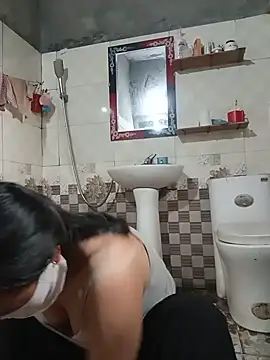 Hiha-nn webcam