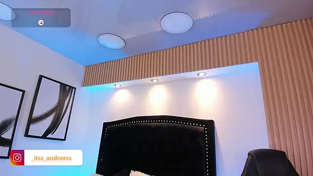 LiamWildx20 webcam