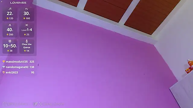 king_falconer webcam