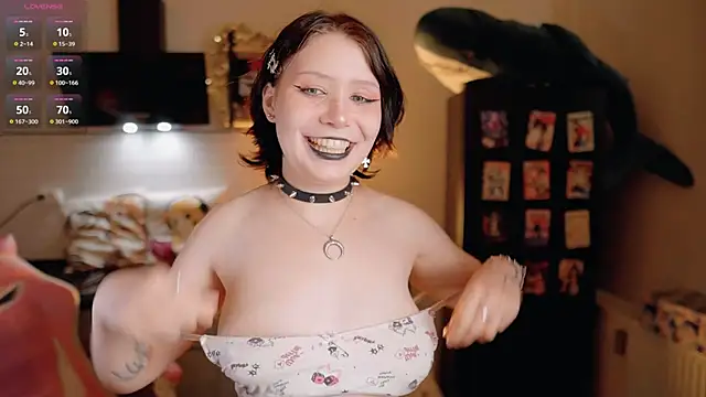 Nickari webcam