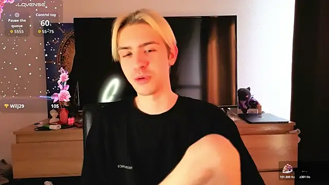 skibatryanka webcam