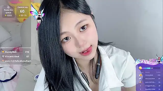 Noelle-2007 webcam