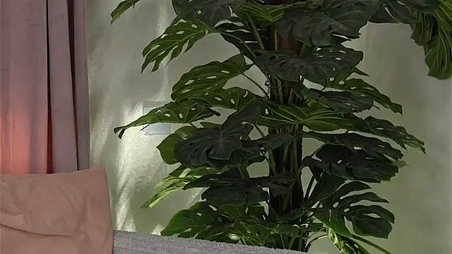 BelleSkye webcam