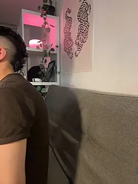 aronnhidden webcam