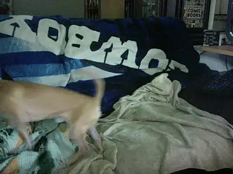 KinkyTOMan webcam
