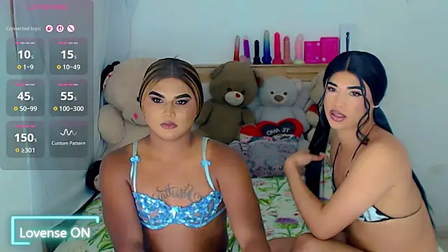 party_duo_trans webcam
