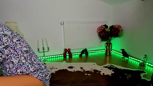 ViciousSiren webcam
