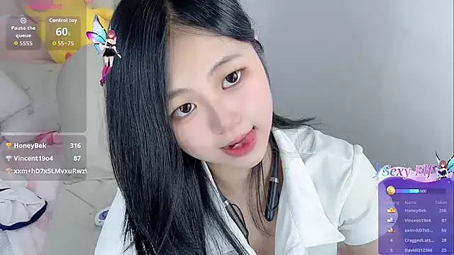 Noelle-2007 webcam