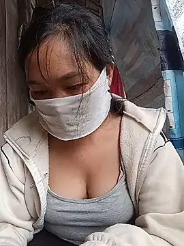 Hiha-nn webcam
