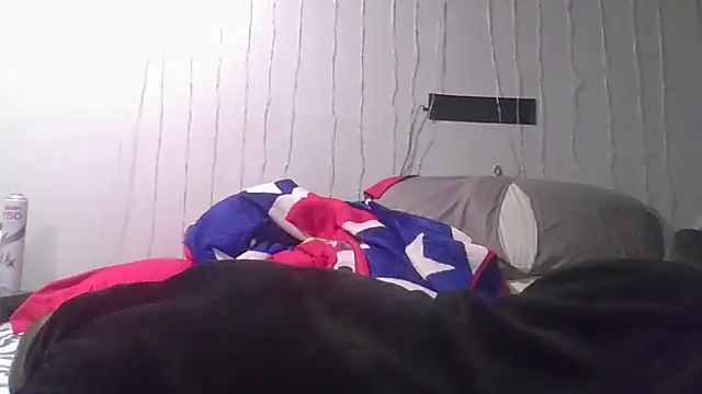 deepinnnnn webcam