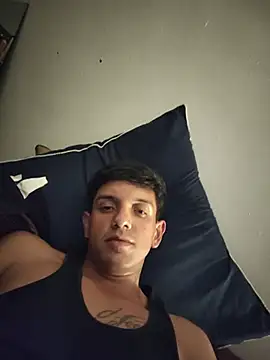 TOLEDIOS webcam
