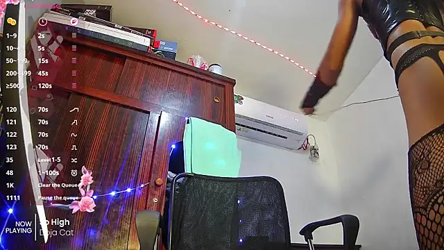Fierces_ts webcam