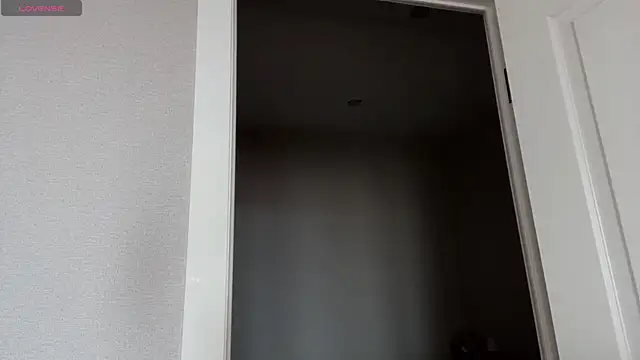 SibleyBurner webcam