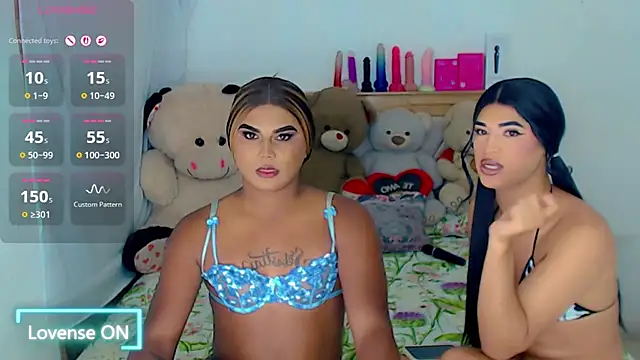 party_duo_trans webcam