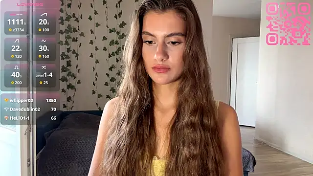 HoveNenets webcam