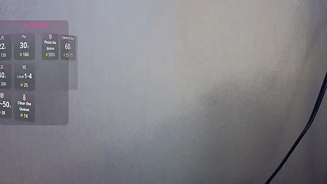 sakuramoss webcam