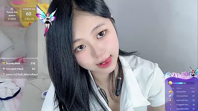 Noelle-2007 webcam