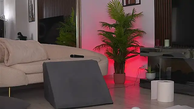 VanessaSimon webcam