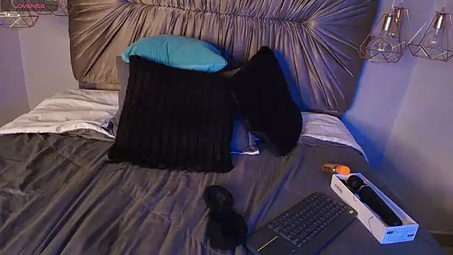 Dakashyten webcam