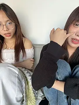 YY-1-1-1 webcam