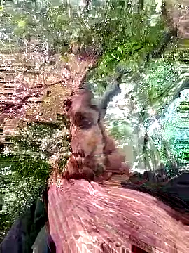 Gungun_thakur webcam