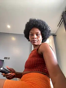 Sis27 webcam