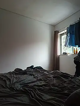 gladieitore webcam