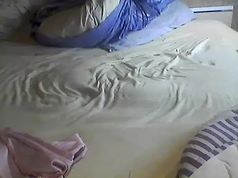 pigDany webcam