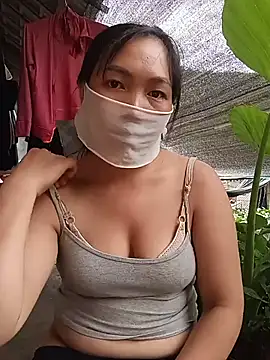 Hiha-nn webcam