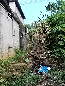 Hoa-tuylip live cam on StripChat