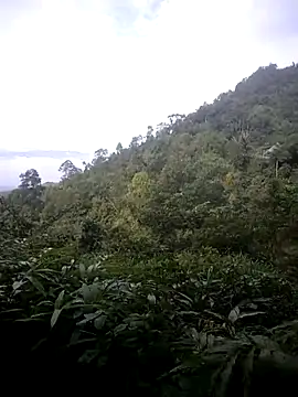 phlin1 webcam
