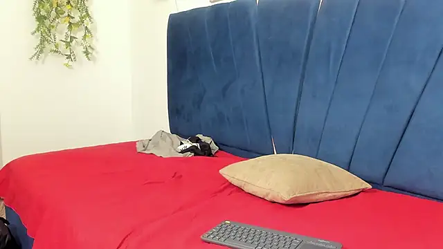 An_fox23 webcam