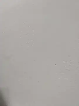 Mile2022 webcam