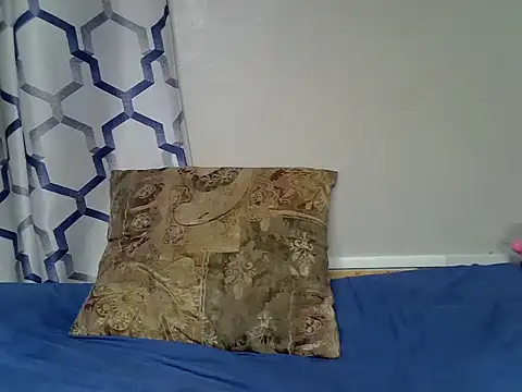 Shash_drip webcam