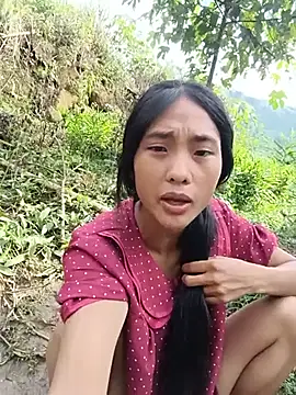 Hoa-tuylip