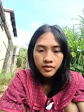 Hoa-tuylip webcam