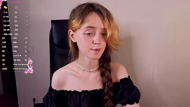 stelamontis webcam