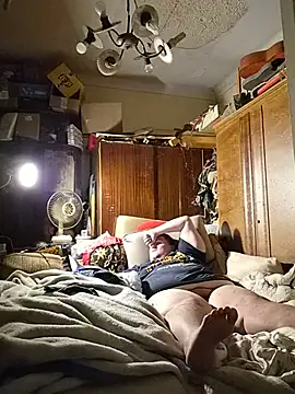 Havannabroklen2 webcam