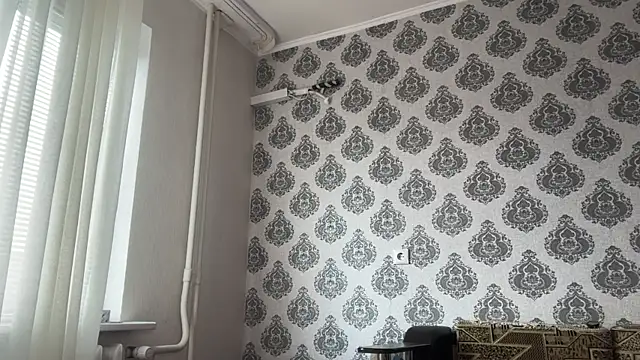 tomasdickpick webcam