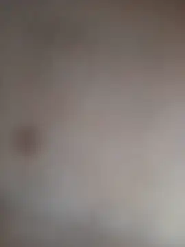 arouane webcam