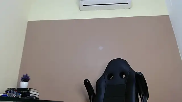 ElaineLaurent webcam