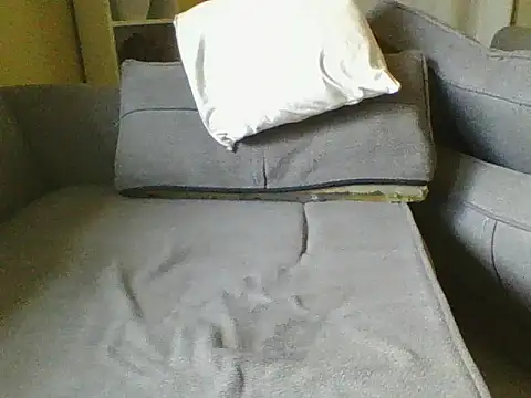 Dizzydose webcam