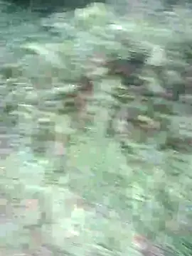 phlin1 webcam