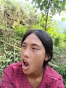 Hoa-tuylip webcam