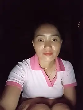 Td3di webcam