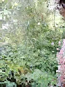 phlin1 webcam